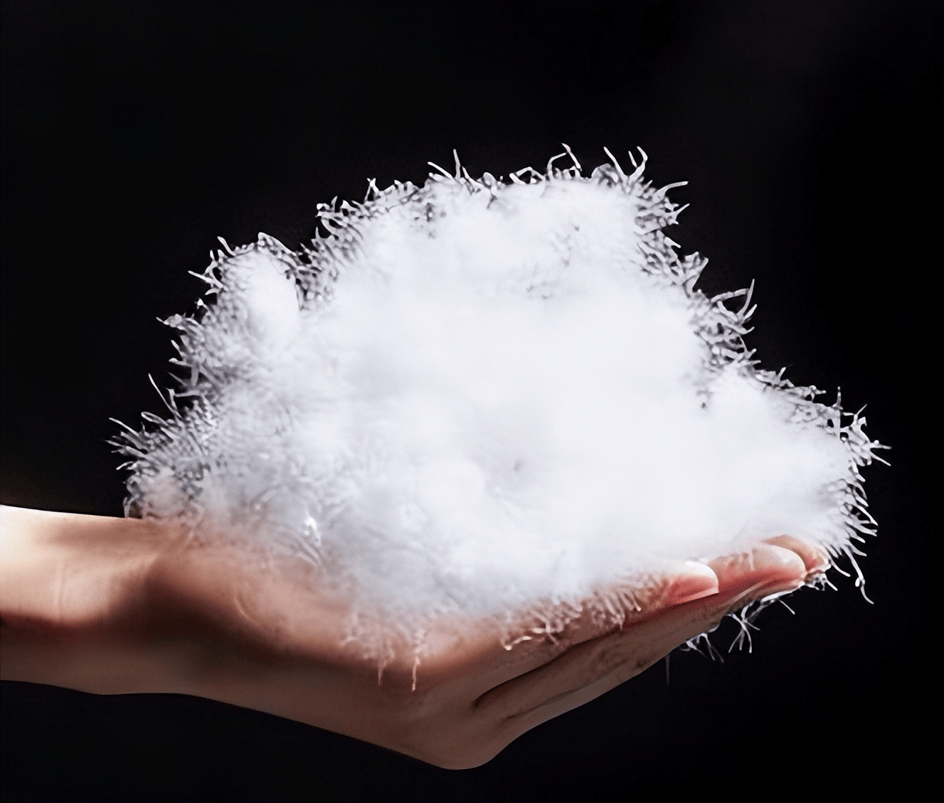 GB/T17685—2026羽绒羽毛